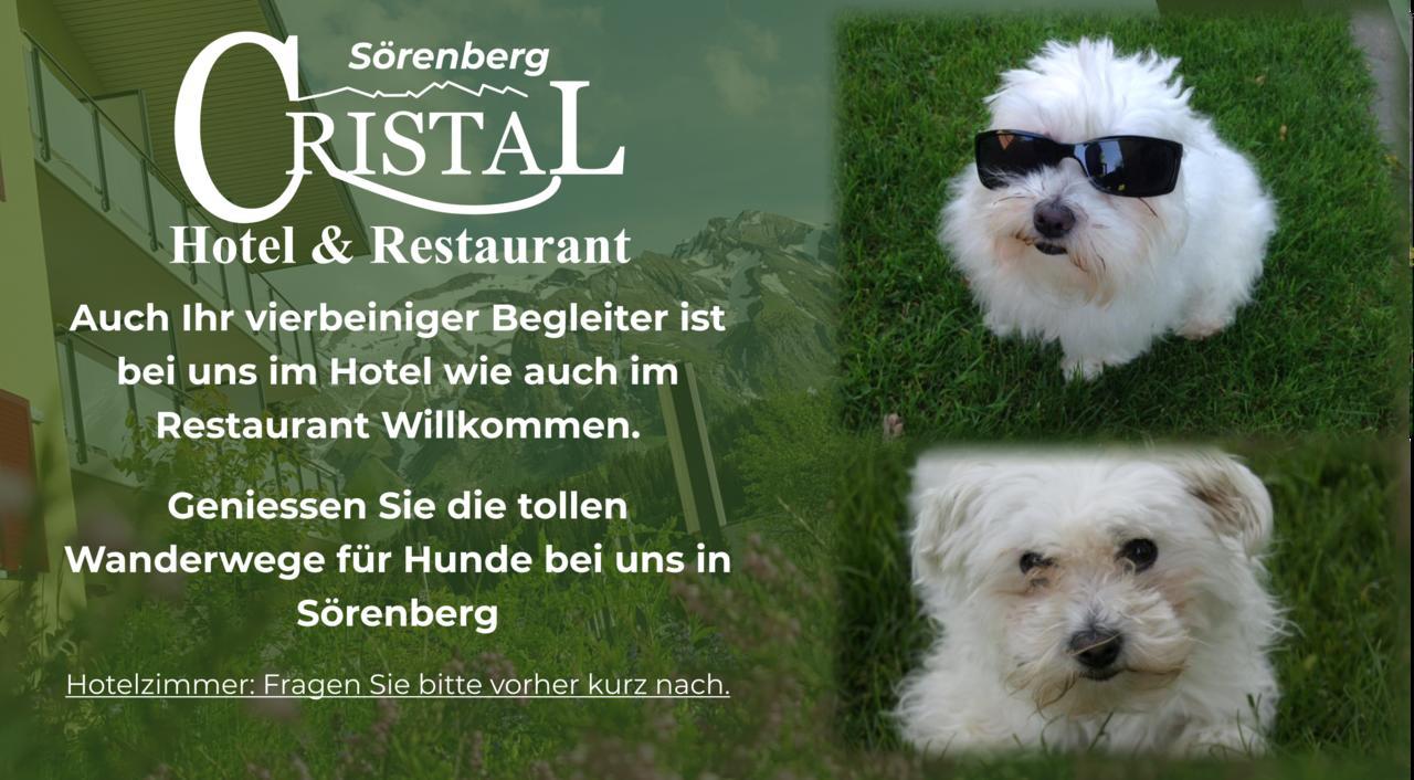 Hotel Cristal Soerenberg المظهر الخارجي الصورة